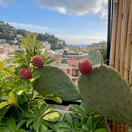 Apartment Appartamento Rapallo - Le 5 Terre - Portofino - Sky Garden Maria Jose - Attico Vista Mare - Terraces - 2 Bagni- 2 Camera Da Letto - Box, Wi-Fi, Idromassaggio Free Inteiro Attico Per Voi, Con Ascensore Rapallo