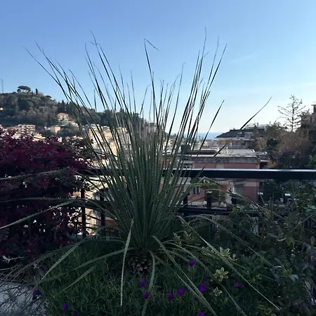 Appartamento Rapallo - Le 5 Terre - Portofino - Sky Garden Maria Jose - Attico Vista Mare - Terraces - 2 Bagni- 2 Camera Da Letto - Box, Wi-Fi, Idromassaggio Free Inteiro Attico Per Voi, Con Ascensore *