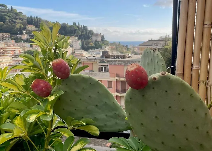 Apartman Sky Garden Maria Jose Liguria - Attico Vista Mare - Terraces - 2 Bagni- 2 Da Letto - Box, Wi-fi, Idromassaggio Free Inteiro Attico Per Voi, Con Ascensore Rapallo