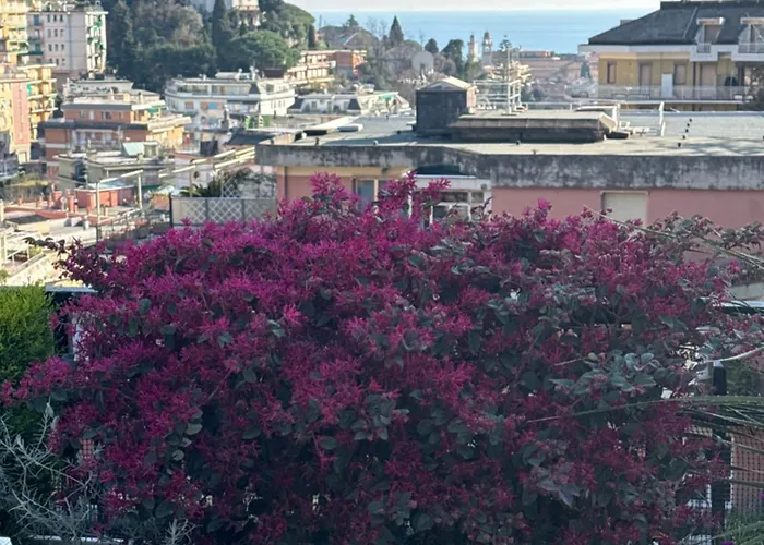 Apartman Sky Garden Maria Jose Liguria - Attico Vista Mare - Terraces - 2 Bagni- 2 Da Letto - Box, Wi-fi, Idromassaggio Free Inteiro Attico Per Voi, Con Ascensore Rapallo